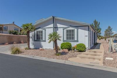 Photo 2 of 27 of home located at 101 Brian Dr. Henderson, NV 89074