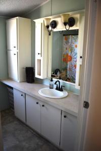 1991 Manufactured Home
