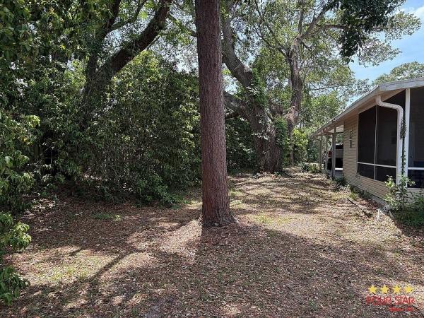 1997 PALM   Home