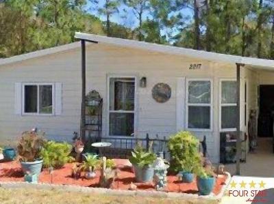 Mobile Home at 2217 Primavera Ave Port Orange, FL 32129