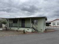 1980 Skyline Mobile Home