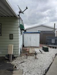 1980 Skyline Mobile Home
