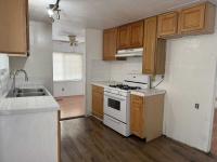 1980 Skyline Mobile Home