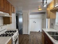 1980 Skyline Mobile Home