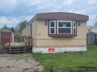 1982 New Moon Mobile Home