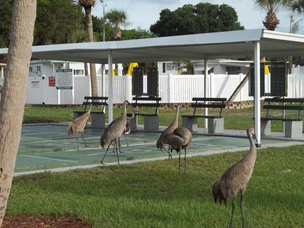 1978 Manufactured Home