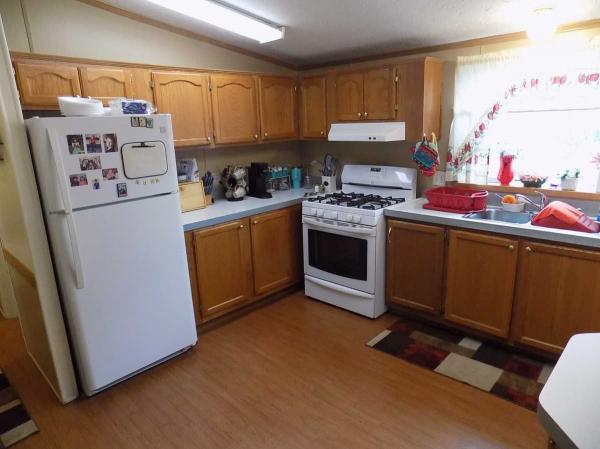 1999 Patriot Manufactured Home