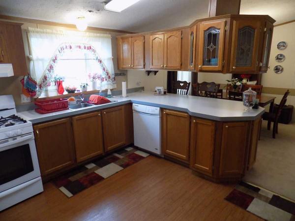 1999 Patriot Manufactured Home