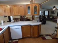 1999 Patriot Manufactured Home