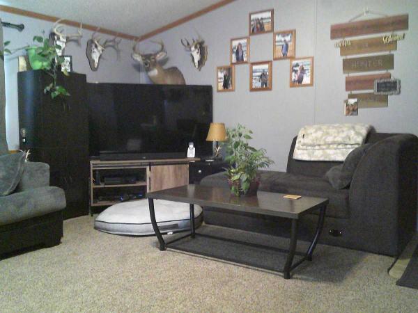 1993 Skyline Spruce Ridge Manufactured Home