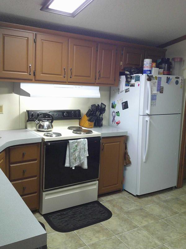 1993 Skyline Spruce Ridge Manufactured Home