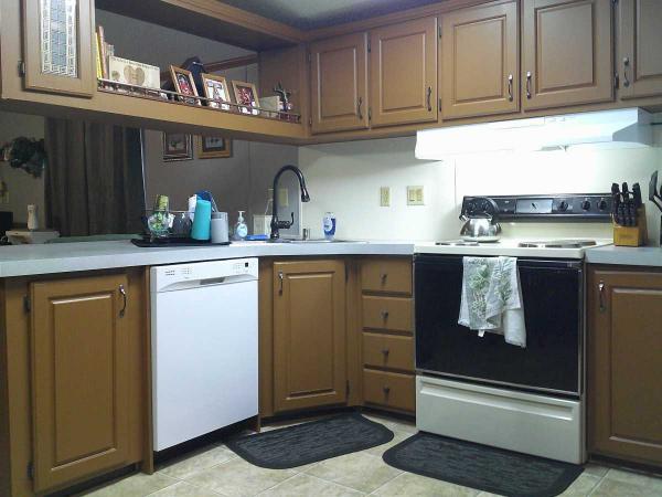 1993 Skyline Spruce Ridge Manufactured Home