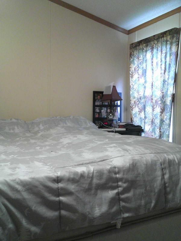 1993 Skyline Spruce Ridge Manufactured Home