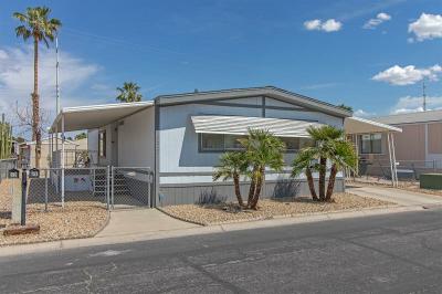 Mobile Home at 5303 E. Twain Ave. Las Vegas, NV 89122