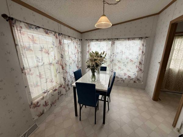 1999 SKYLINE Manufactured Home