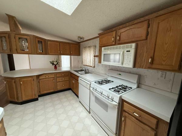 1999 SKYLINE Manufactured Home