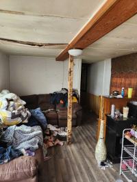 Mobile Home