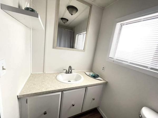 1977 Skyline Manufactured Home