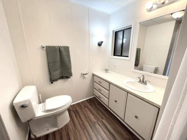 1977 Skyline Manufactured Home