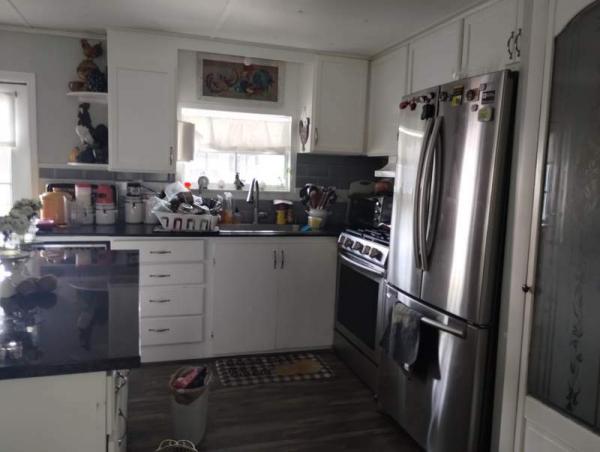 1979 Skyline Manufactured Home