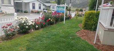Photo 4 of 23 of home located at 29021 Bouquet Canyon Rd #317 Saugus, CA 91350