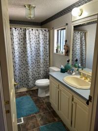 1991 Skyline Manufactured Home