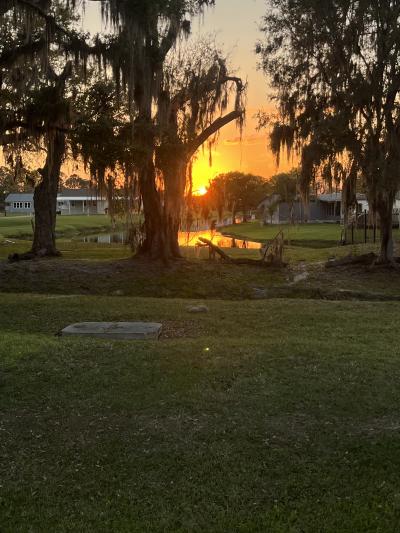 Mobile Home at 17 Country Meadows Blvd Plant City Fl 33566, FL 33566