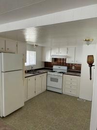 1976 Golden West Golden Mansion Mobile Home