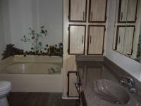 1980 Paramount Manufactured Home