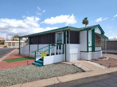 Mobile Home at 2420 W 5th Ave, Lot 17 Apache Junction, AZ 85120