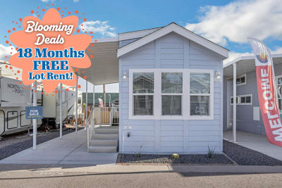 Mobile Home at 9252 E. Broadway Road #004 Mesa, AZ 85208