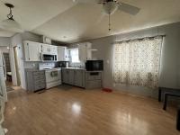 1992 Skyline Manufactured Home