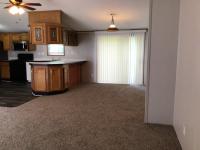 1999 Skyline Mobile Home