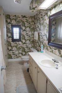1981 Manufactured Home