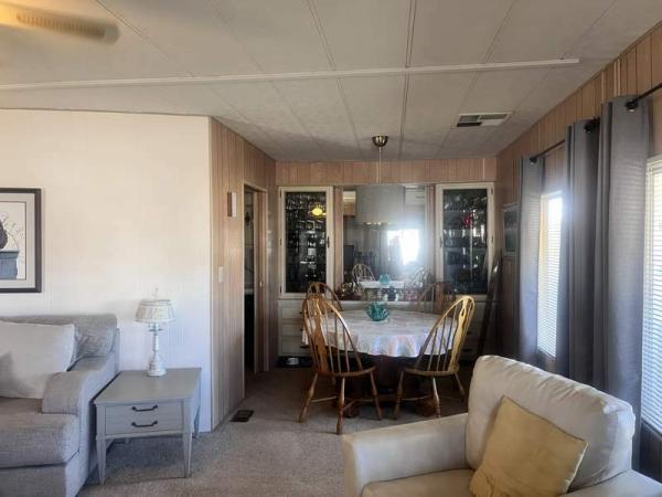1971 Skyline Manufactured Home