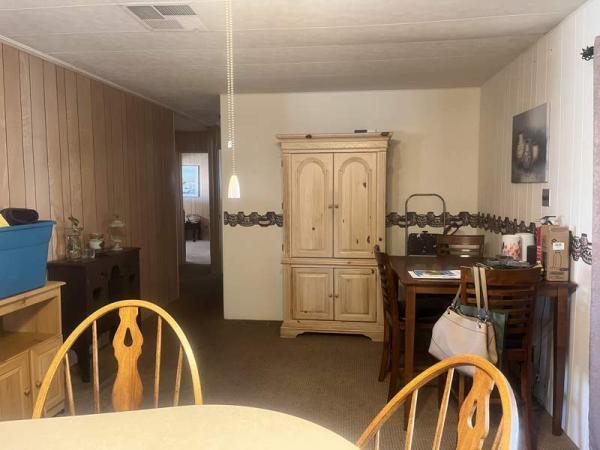 1971 Skyline Manufactured Home