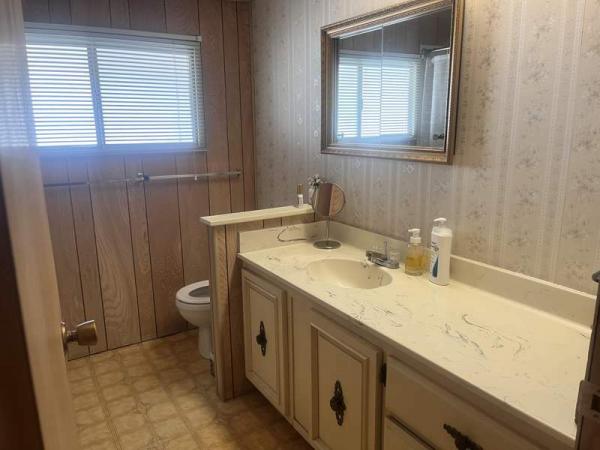 1971 Skyline Manufactured Home