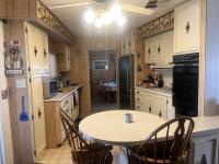 1971 Skyline Manufactured Home