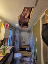 1988 Carrollton Manufactured Home
