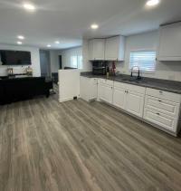 1981 Skyline Manufactured Home