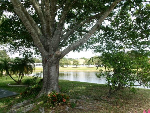 2002 Palm Harbor Mobile Home