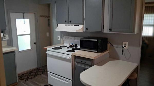 1972 Skyline HS Mobile Home