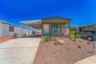 Photo 2 of 8 of home located at 10201 N. 99th Ave. #21 Peoria, AZ 85345
