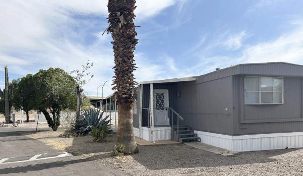 1979 Skyline Mobile Home For Sale