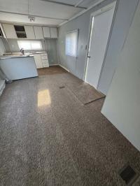 Mobile Home