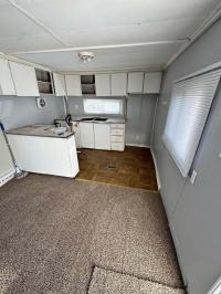Mobile Home