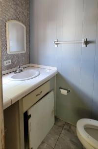 Mobile Home