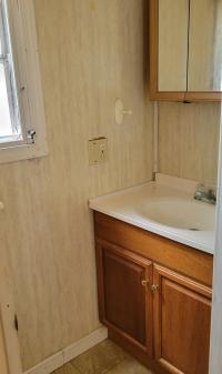 1978 SKYL Mobile Home