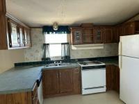 2000 Skyline Amber Ridge Mobile Home