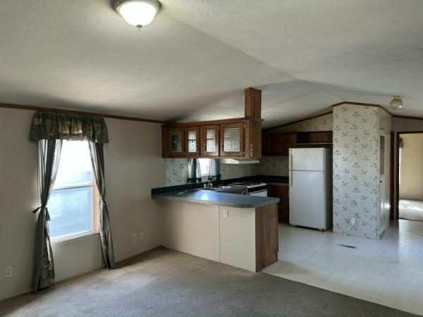 2000 Skyline Amber Ridge Mobile Home